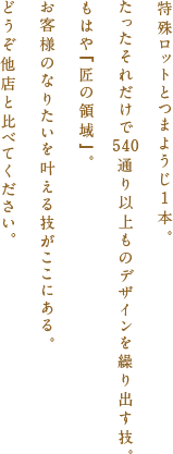 特殊ロットとつまようじ1本。 たったそれだけで540通り以上ものデザインを繰り出す技。 もはや『匠の領域』。 お客様のなりたい