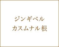 ジンギベルカスムナル根