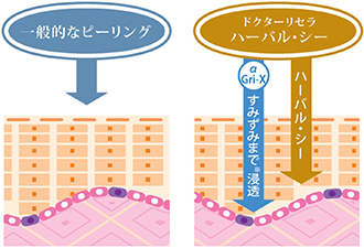 α Gri-Xの三大作用の概要グラフ