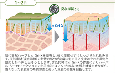 肌浸透メソッド1~2日目の様子