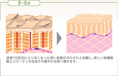 肌浸透メソッド3~5日目の様子