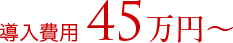 導入費用45万円〜